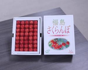 ＪＡふくしま未来によるさくらんぼ「佐藤錦」の贈呈写真２