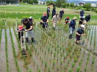 みんなでやってみよう