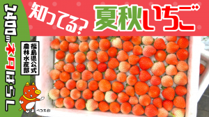 北塩原村早稲沢の夏秋いちご