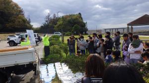 ホシガレイ放流1