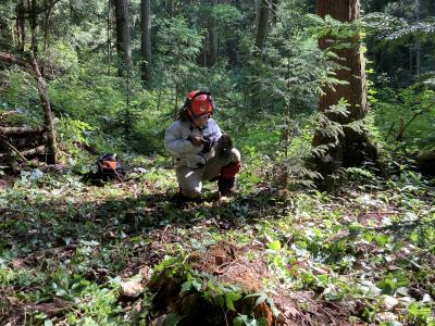 吉田香織さん　写真３