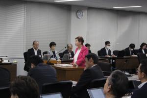 総括審査会（宮本しづえ議員）の写真