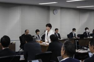 総括審査会（水野さちこ議員）の写真