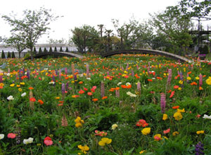 白河フラワーワールド