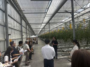 ワンダーファーム