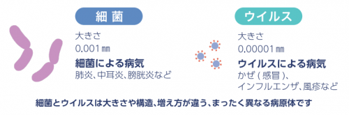 細菌とウイルス