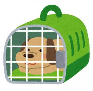 キャリーケース