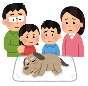 犬の看取り