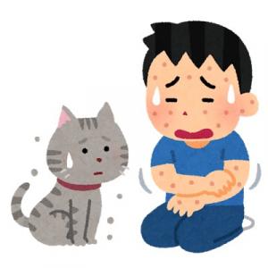 猫アレルギー