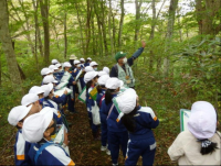 市町村による森林環境学習