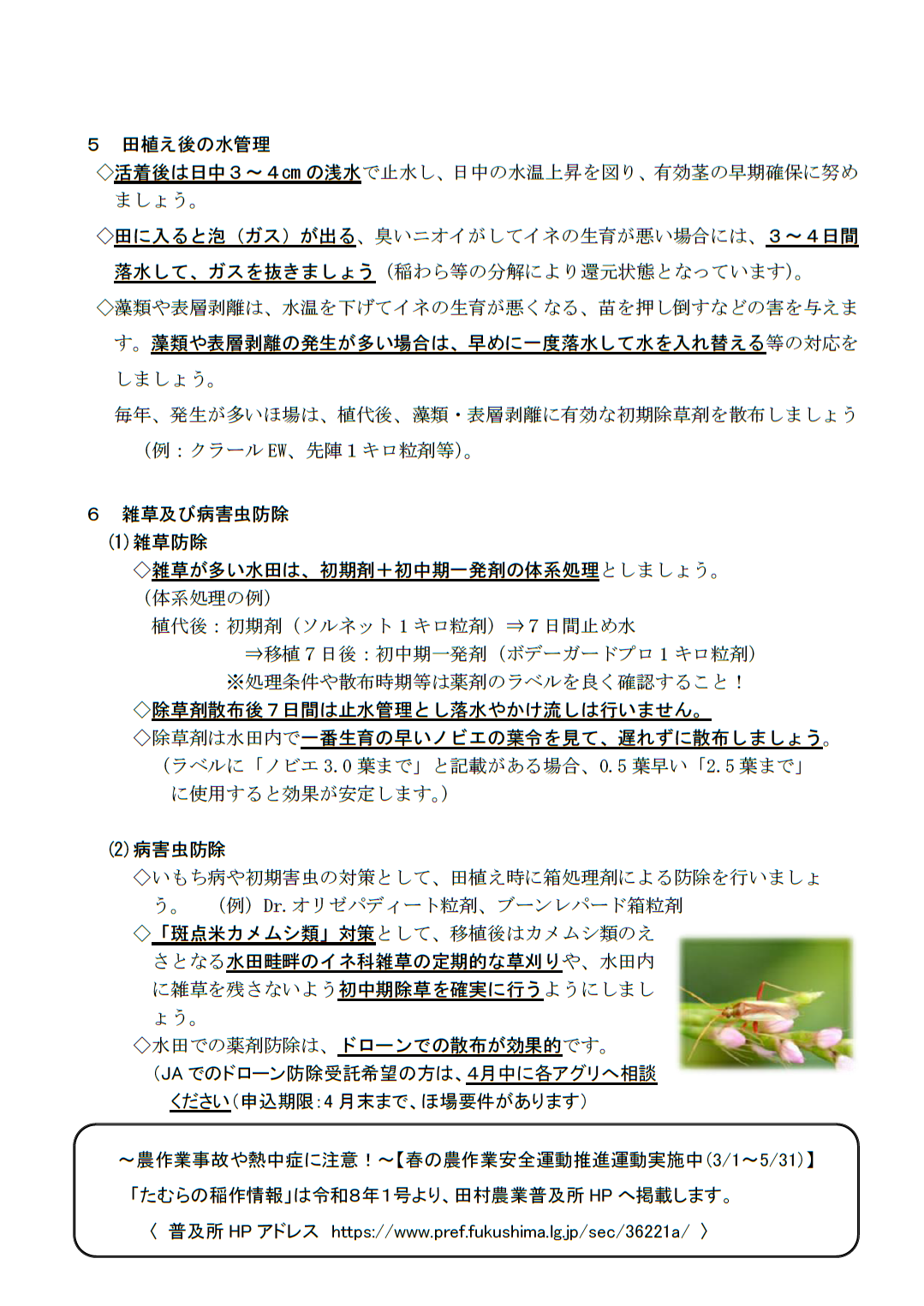 稲作情報第２号_2