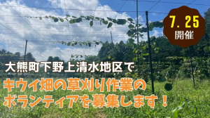 大熊町キウイ畑の草刈り
