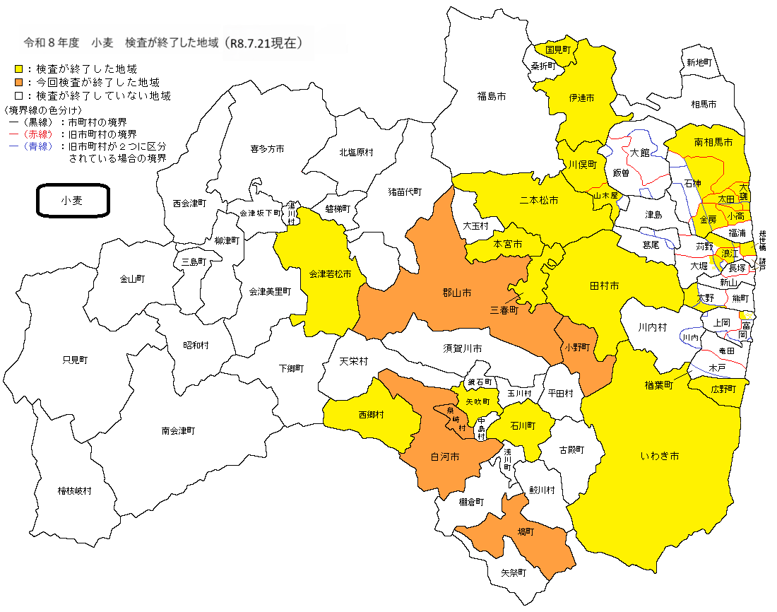 小麦