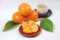 あいづ身不知柿