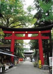 伊佐須美神社　参道