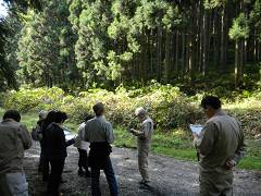 2第2期森林整備事業_双里地区