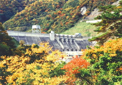大川ダムの紅葉