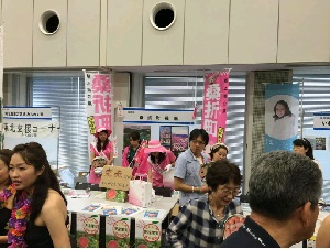 桑折町の桃の販売