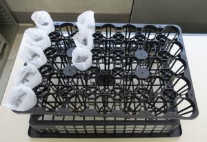 育苗トレーと台トレー