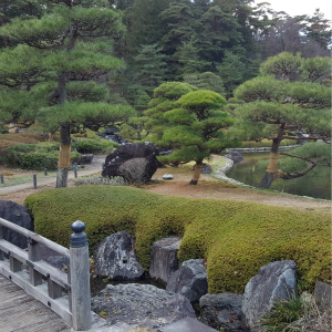 シャーマン・クワイさん