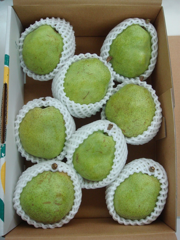 西洋なし（H23喜多方市）