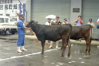 大切に育てた「会津牛」