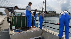 ホースで稚魚取り上げ