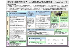 ツキノワグマ被害防止緊急対策事業（6号補正）