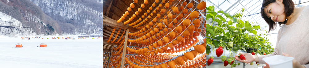 東京事務所トップ画像