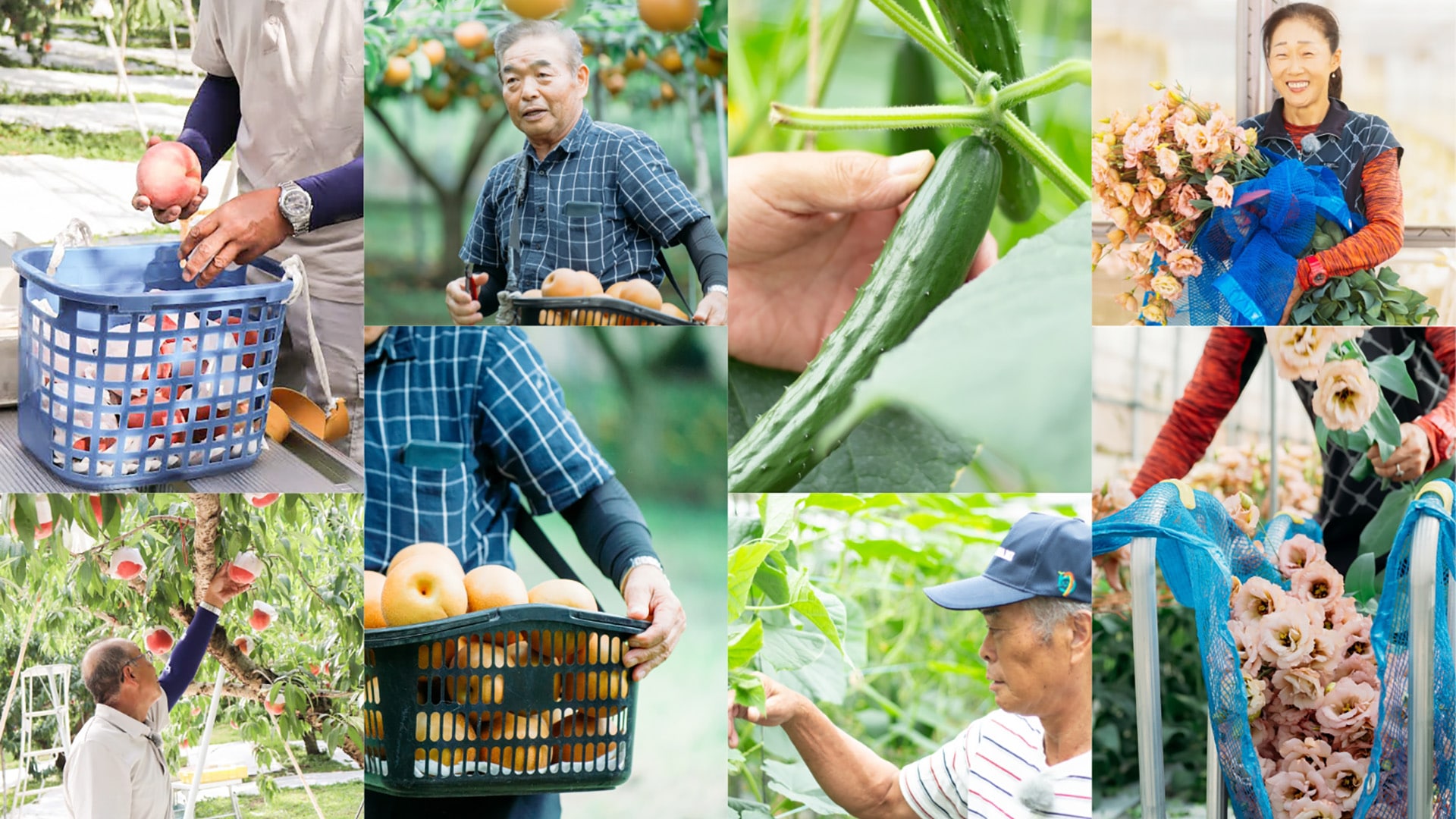 /w4/engeijin/ふくしまの園芸人とは