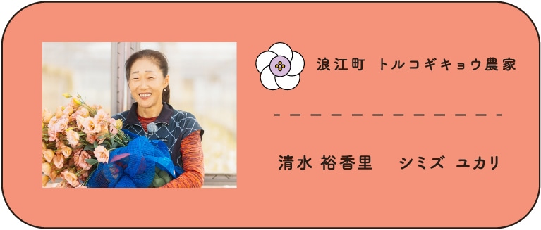 浪江町　トルコギキョウ農家　清水裕香里