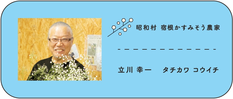 昭和村　宿根かすみそう農家　立川幸一