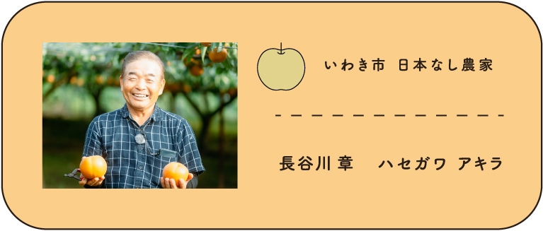 いわき市　日本なし農家　長谷川章