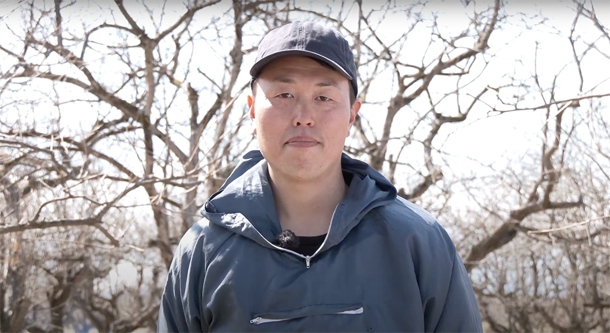 あんぽ柿の産地と生産者