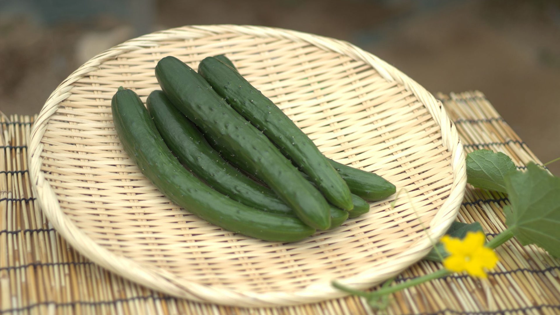 /w4/engeijin/ふくしま産きゅうり