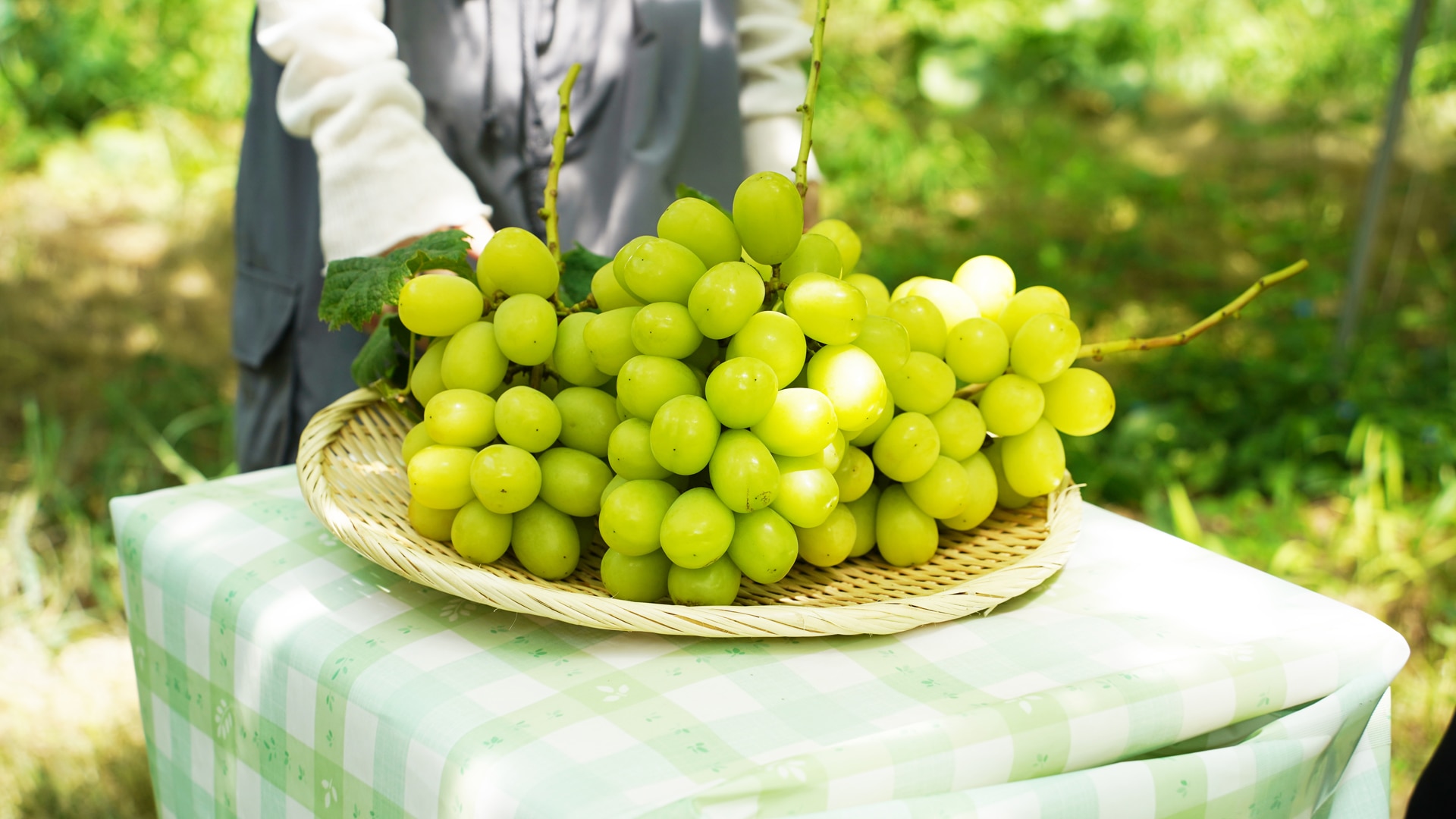 /w4/engeijin/ぶどう