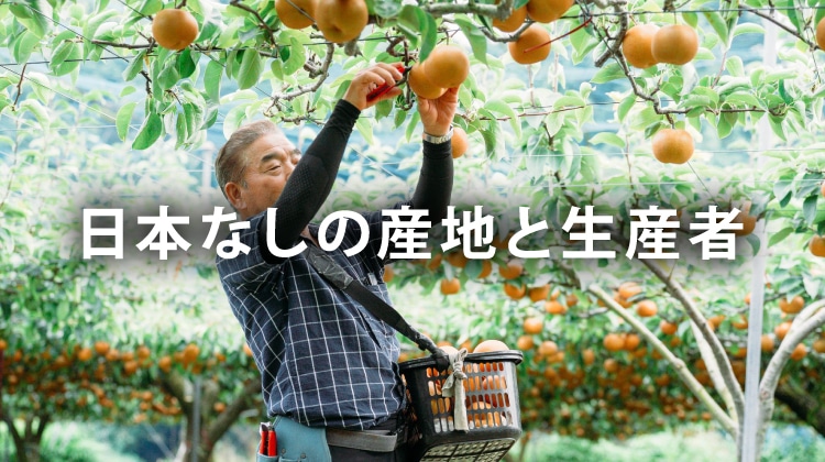 なしの産地と生産者