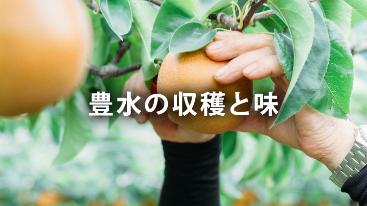 農水の収穫と味