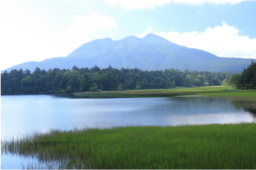 尾瀬沼往復コースは、今の尾瀬を知ることができる3