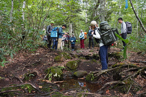 見晴新道の作業現場