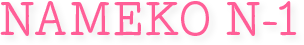 NAMEKO N1